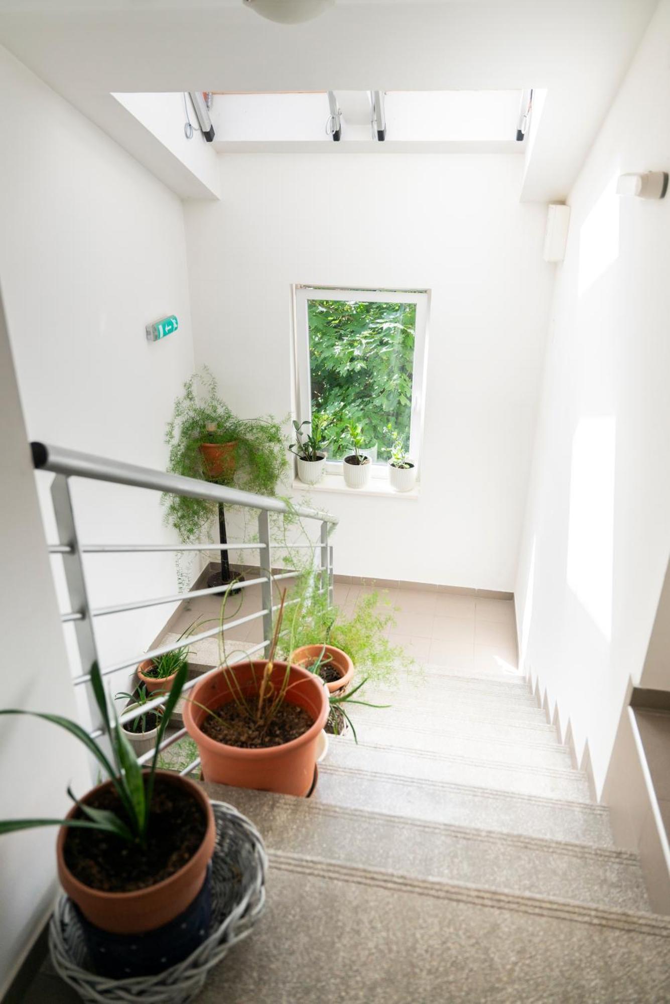 Bagoly Fogado Hotel Gyömrő Bagian luar foto